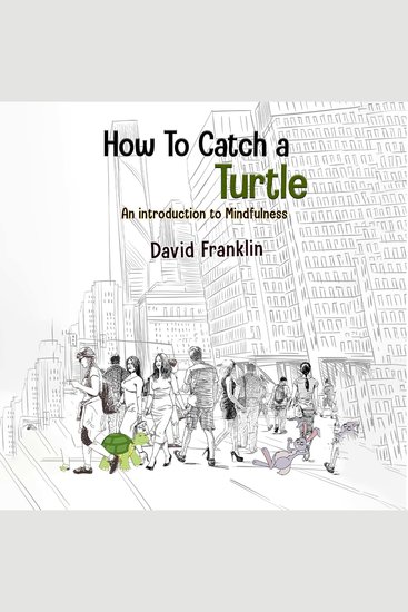 How to Catch a Turtle - An Introduction to Mindfulness - cover