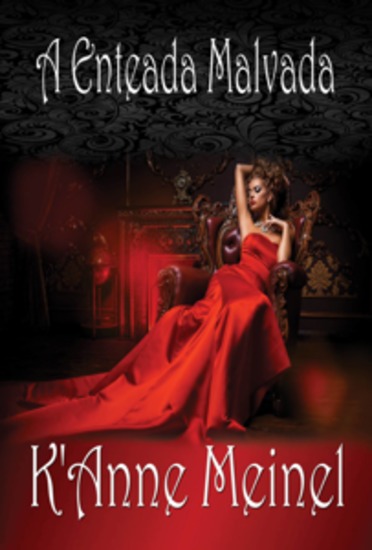 A Enteada Malvada - cover