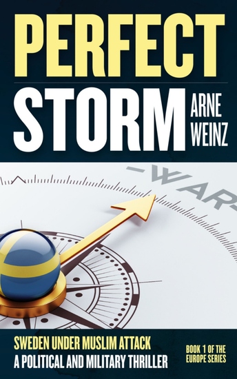 Perfect Storm - cover