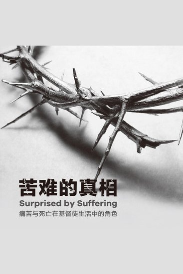 苦难的真相 - cover