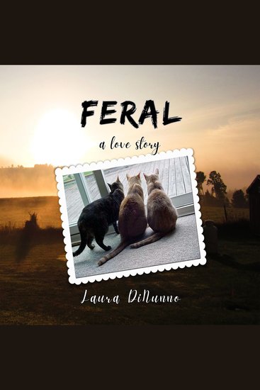 Feral - A Love Story - cover