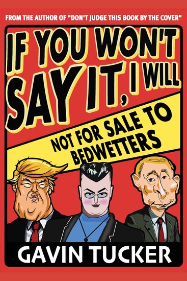 If You Won't Say It I Will - cover