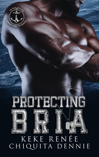 Protecting Bria - A Forced Proximity Bodyguard Romance - cover