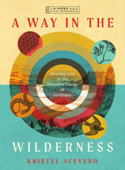 A Way in the Wilderness - Meeting God in the Desolate Places of Scripture--A 6-Week Bible Study with Video Access - cover