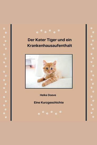Der Kater Tiger und ein Krankenhausaufenthalt - cover