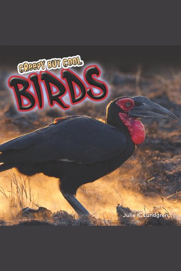 Creepy but Cool Birds - cover