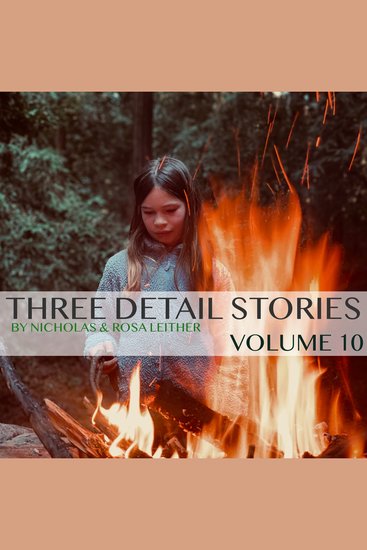 Three Detail Stories - Volume 10 - cover