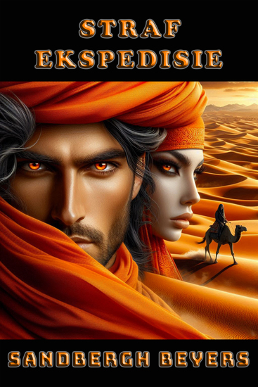 Straf Ekspedisie - Sand Bloed en Oorlewing - 'n Franse Vreemdelegioen-reeks in die Sahara Boek 12 - cover