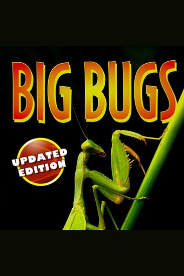 Big Bugs - cover