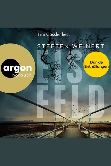 Eisfeld - Dunkle Enthüllungen - Mara Eisfeld ermittelt Band 2 (Ungekürzte Lesung) - cover