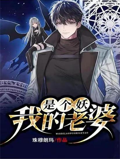 我的老婆是个妖 - cover