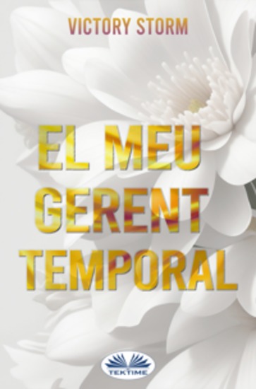 El Meu Gerent Temporal - cover