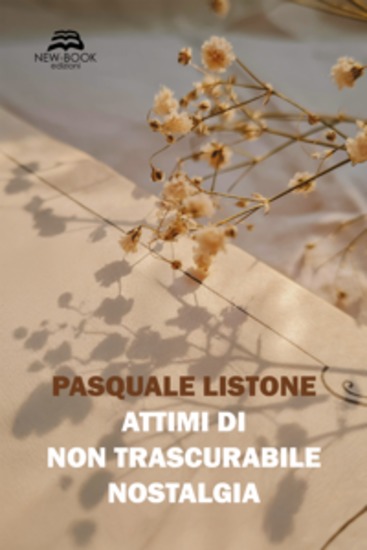 Attimi di non trascurabile nostalgia - cover