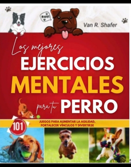 Los mejores ejercicios mentales para tu perro - Juegos para aumentar la agilidad fortalecer vínculos y divertirse - cover