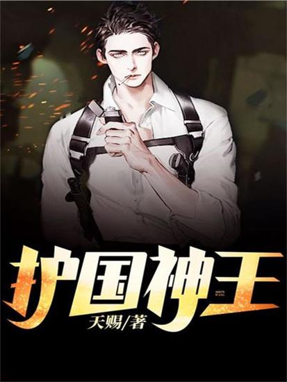 护国神王 - cover
