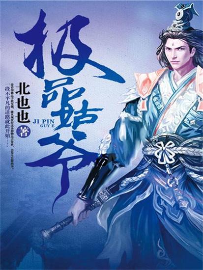 极品姑爷 - cover