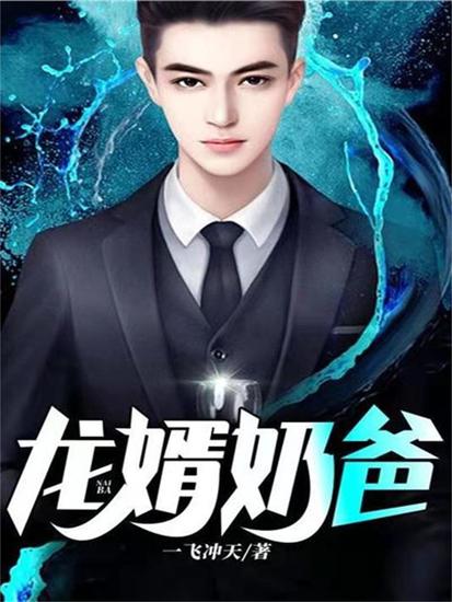 龙婿奶爸 - cover