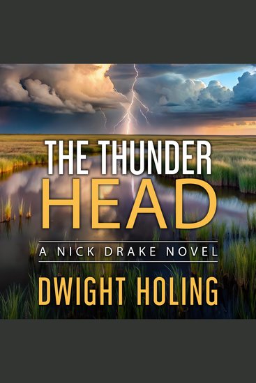 The Thunder Head - A Nick Drake Novel - cover