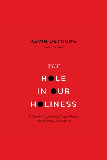The Hole in Our Holiness - Filling the Gap between Gospel Passion and the Pursuit of Godliness - cover