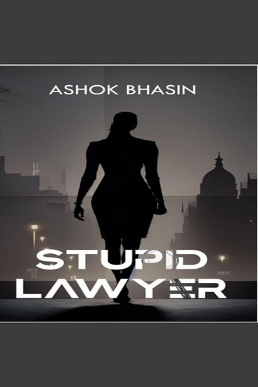 Stupid Lawyer - cover
