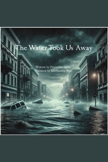 The Water Took Us away- Hindi - cover