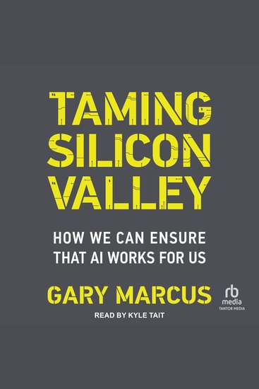 Taming Silicon Valley - How We Can Ensure That AI Works for Us - cover