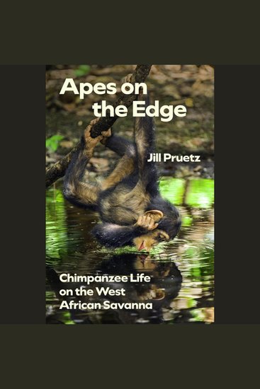 Apes on the Edge - Chimpanzee Life on the West African Savanna - cover