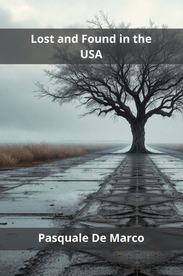 Lost and Found in the USA - cover