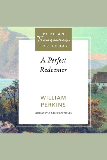 A Perfect Redeemer - cover