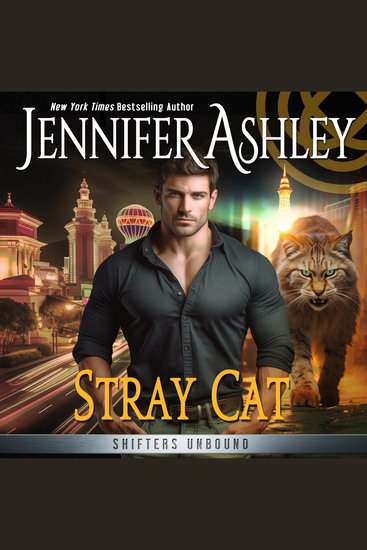 Stray Cat - cover
