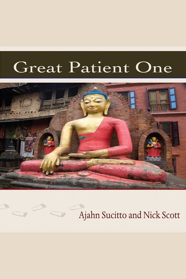 Great Patient One - cover