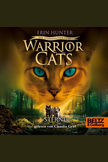Warrior Cats - Ein sternenloser Clan Sterne - Staffel VIII Band 6 - cover