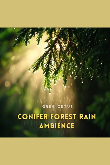 Conifer Forest Rain Ambience - Stream Trickles and Leaf Drips in a Coastal Evergreen Habitat - cover