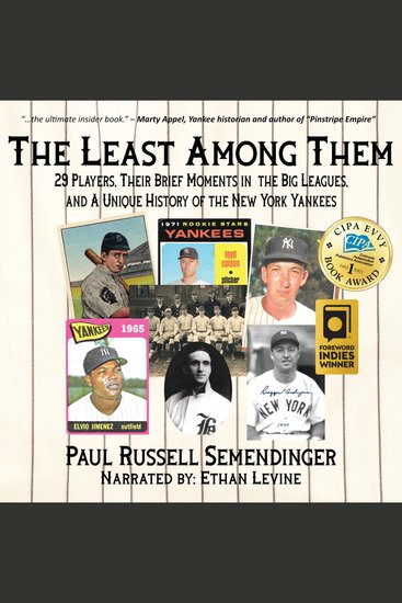 The Least Among Them - 29 Players Their Brief Moments in the Big Leagues and a Unique History of the New York Yankees - cover
