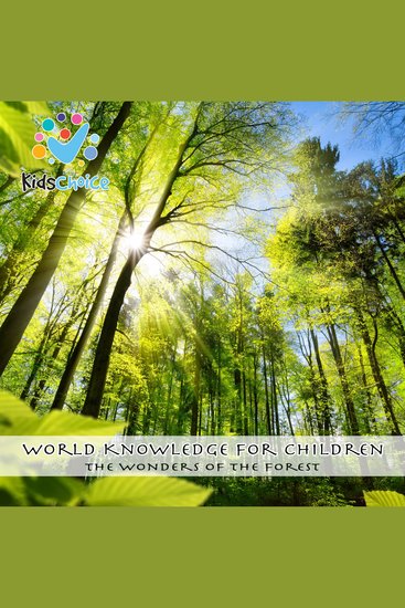 The wonders of the forest - cover