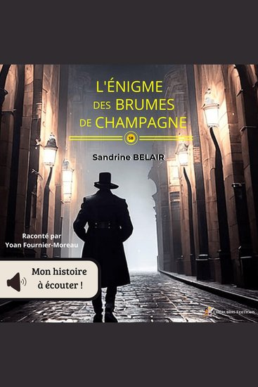 L'énigme des brumes de champagne - cover