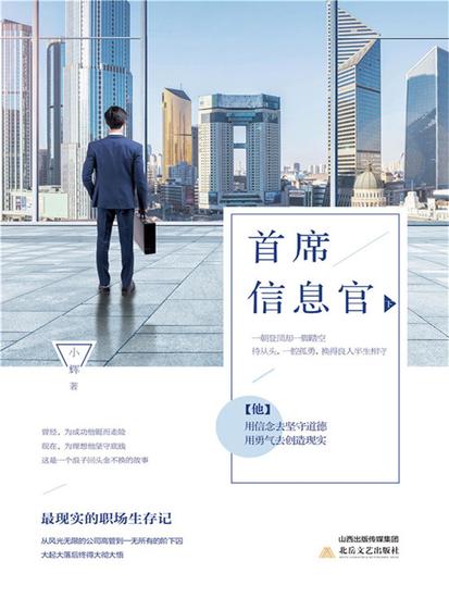 首席信息官（下） - cover