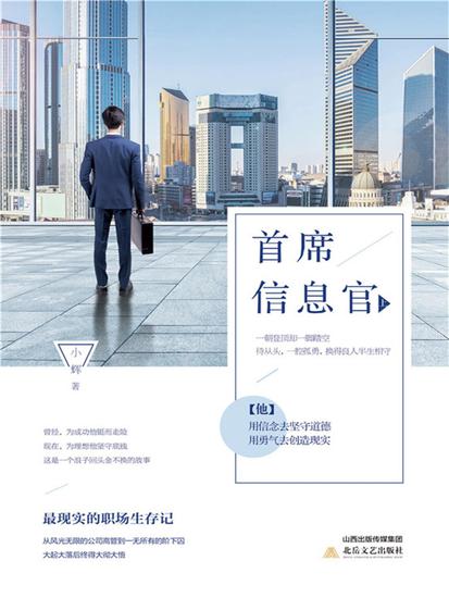 首席信息官（上） - cover