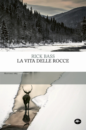 La vita delle rocce - cover