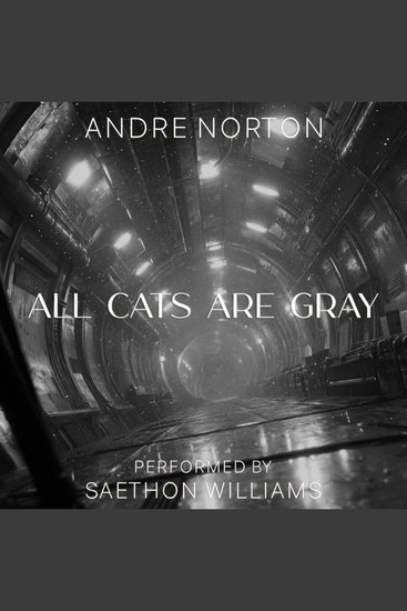 All Cats Are Gray - cover