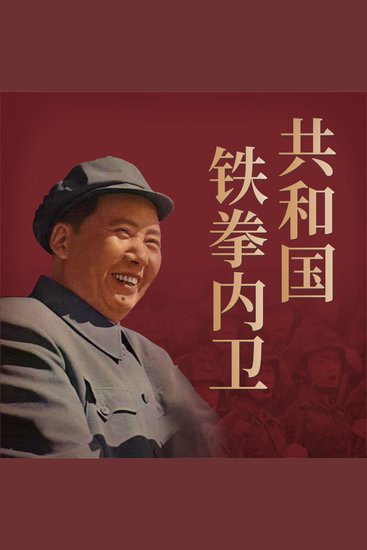 共和国铁拳内卫 - cover