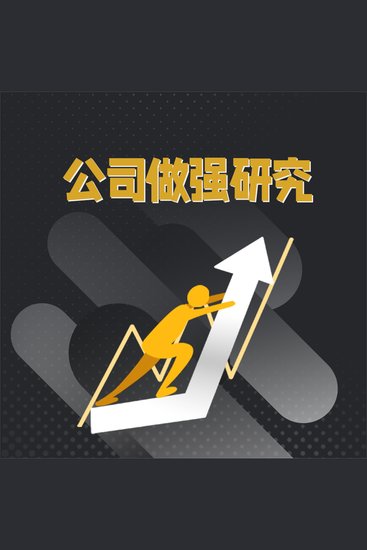 公司做强研究 - cover