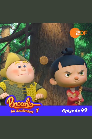 Episode 49: Die magische Flöte - Das Original-Hörspiel zur TV-Serie - cover