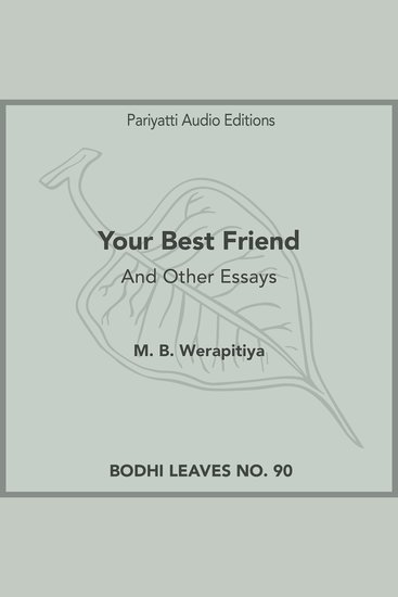 Your Best Friend - And Other Essays - cover
