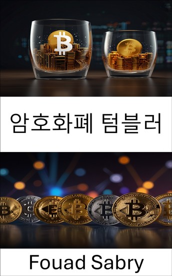 암호화폐 텀블러 - 가상 금융 세계의 디지털 프라이버시와 보안 메커니즘 이해 - cover