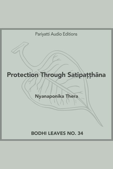 Protection Through Satipaṭṭhāna - cover