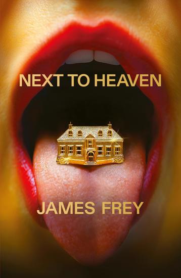 Next to Heaven - The PROVOCATIVE new novel from BESTSELLING author of A Million Little Pieces - cover