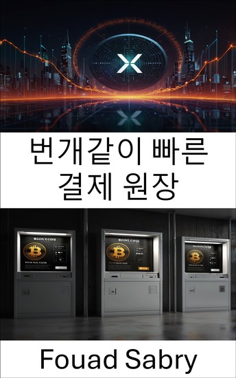 번개같이 빠른 결제 원장 - 디지털 거래와 분산 금융의 미래 - cover