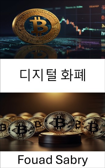 디지털 화폐 - 진화하는 금융 생태계의 법적 틀과 규제 과제 이해 - cover