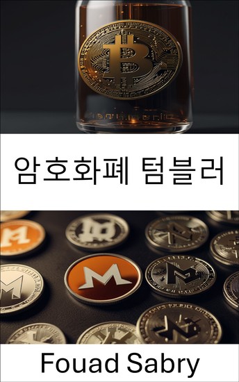 암호화폐 텀블러 - 디지털 거래에서 숨겨진 프라이버시와 익명성의 세계 - cover